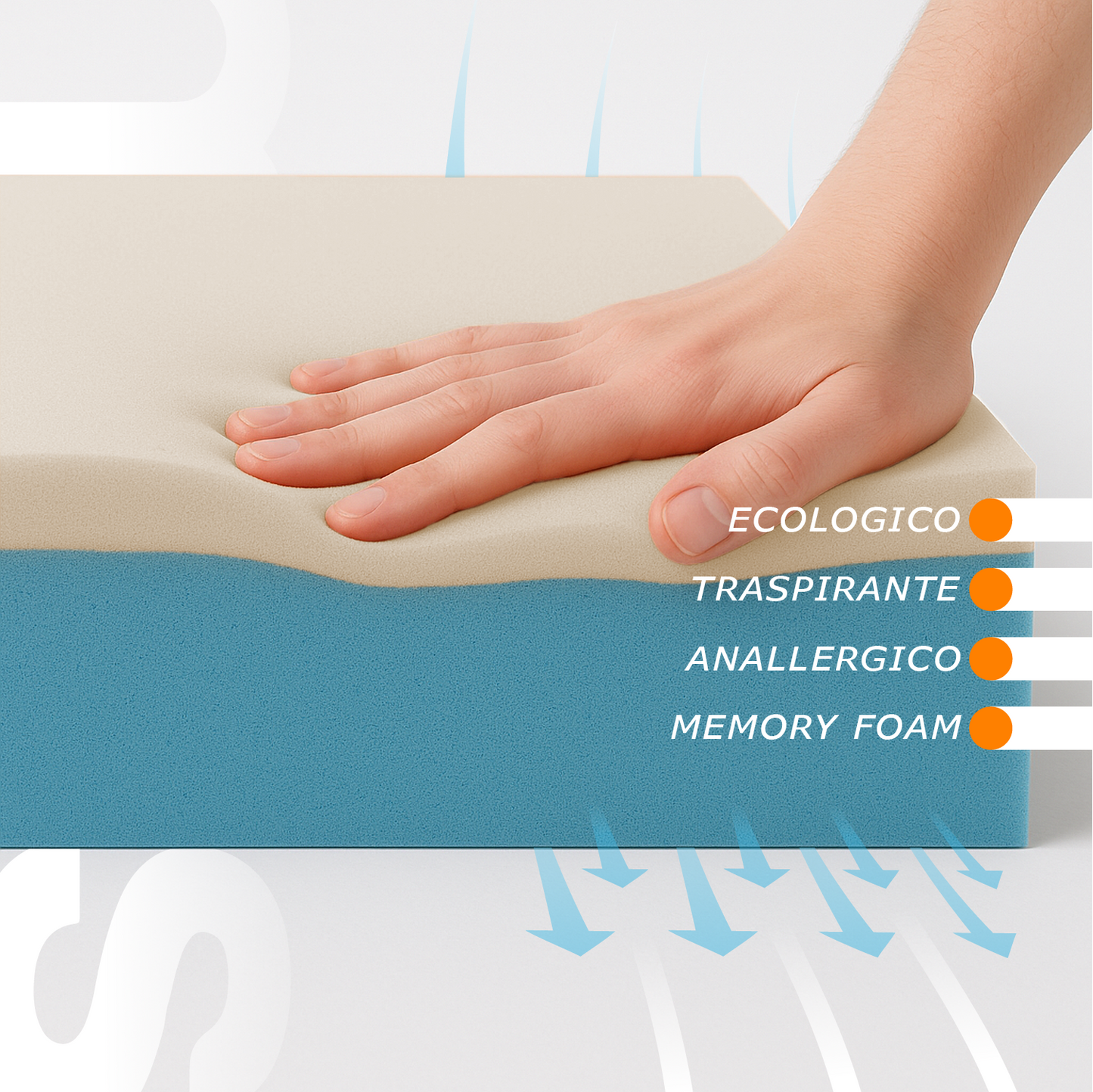 Materasso Memory Foam Sfoderabile, Alto 25 cm - 100% Aloe Vera | Evolution